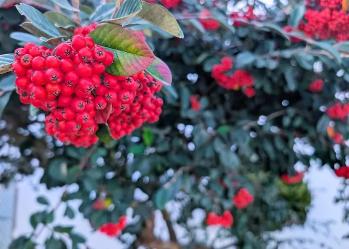 Gæstehus Onda Atlantica - Atlantic Wave 3*